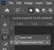lasso tool